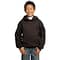 Port & Company® Colors Youth Core Fleece Pullover Hooded Sweatshirt